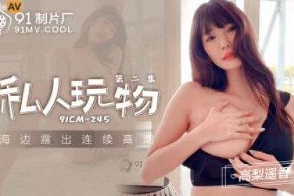 Domestic AV 91 Studio 91CM245 Personal Toy 2 Takanashi Haruka