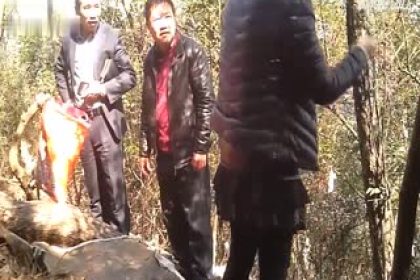 The director and manager of the factory, who have the boss’s bag, reward the employees who have performed well. The honest and honest elder brother is having sex with wild prostitutes in the woods. The two leaders who are watching the game seem to be very familiar with each other.