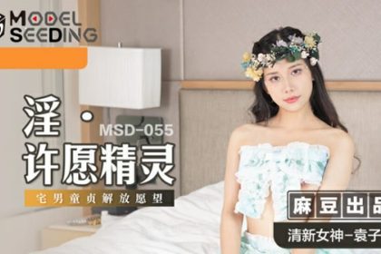 Madou-The Wishing Fairy of Obscenity-Yuan Ziyi